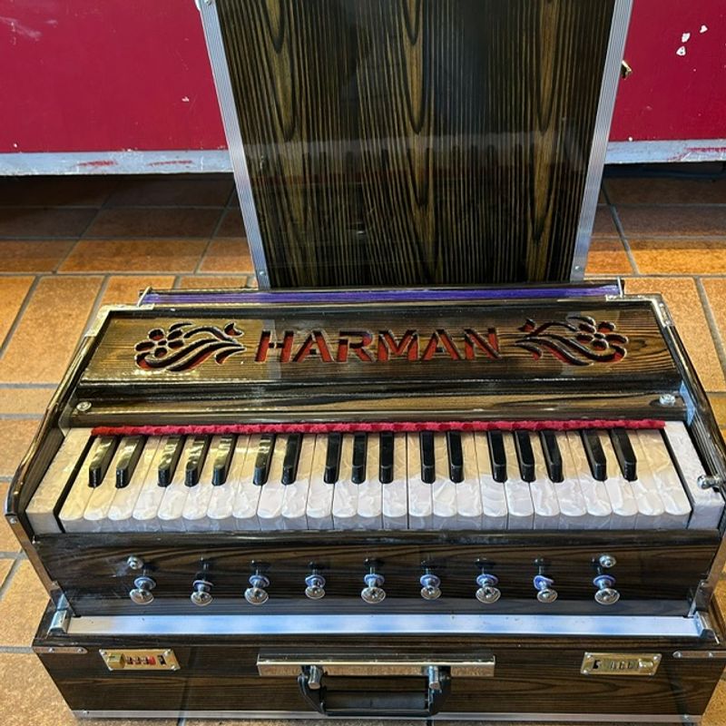 Harmonium fra India med softbag