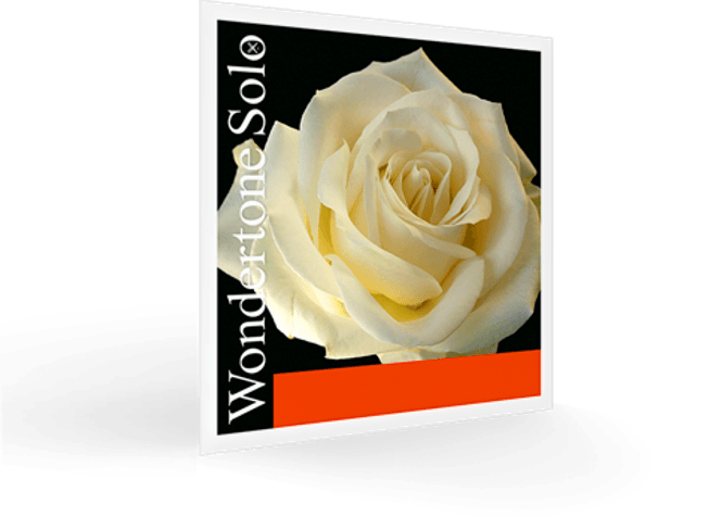 Hovedbilde Pirastro Wondertone Solo E-Fiolinstreng 4/4, ...